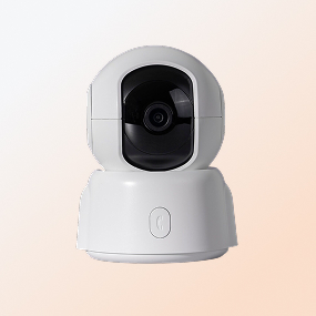 كاميرات المراقبة